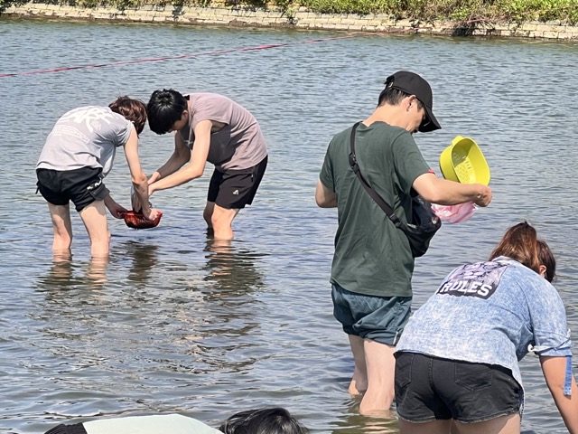 (大頭條新聞TOP-News)
