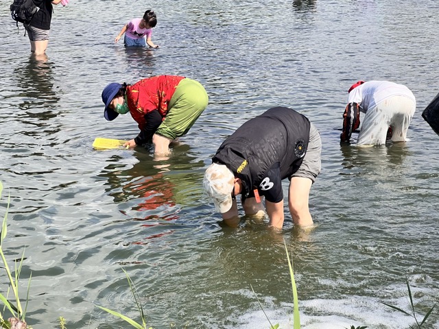 (大頭條新聞TOP-News)